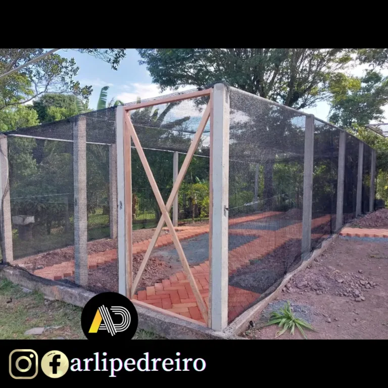 Foto do portfólio